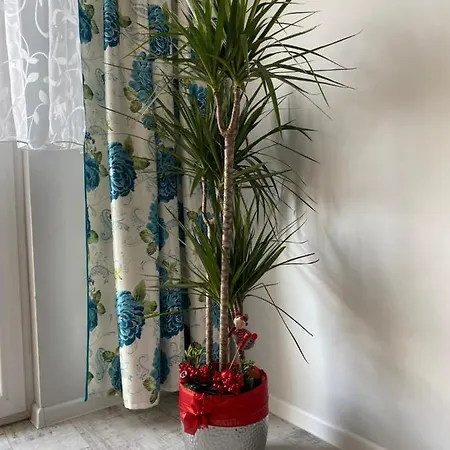 Διαμέρισμα Apartament W Stolicy Podhala *