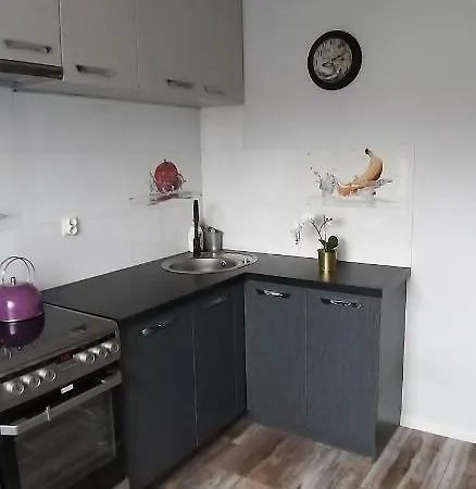 Διαμέρισμα Apartament W Stolicy Podhala *